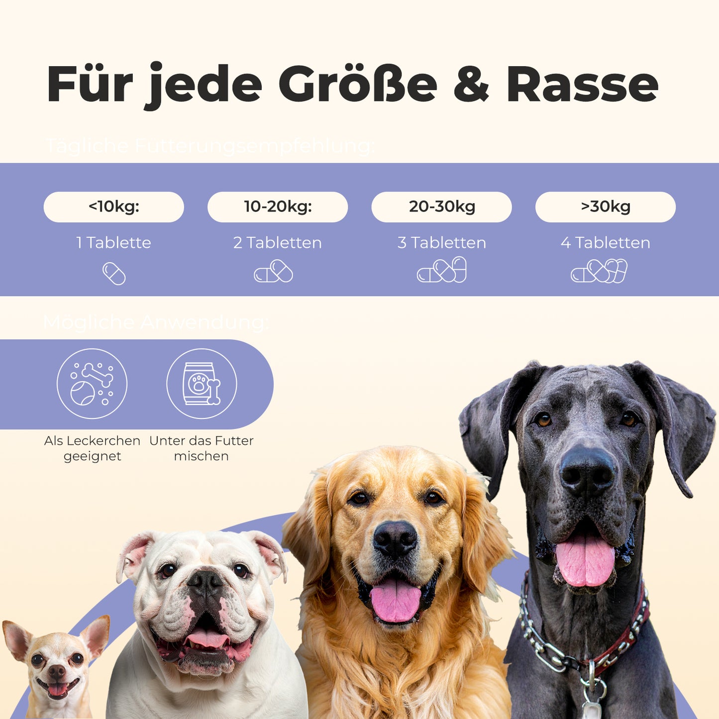 Gelenktabletten für Hunde