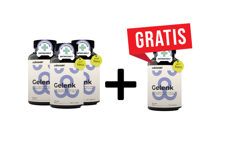 2 Pack