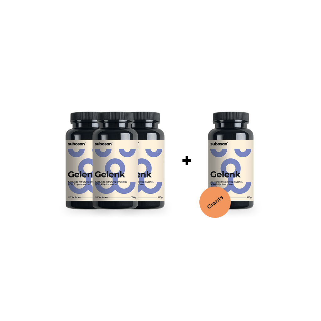 2 Pack