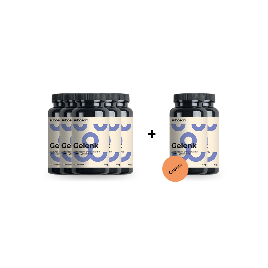 3 Pack