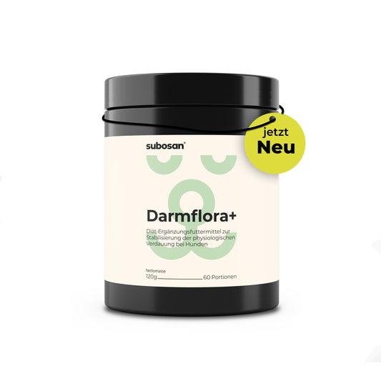 Darmflora+ Probiotika für Hunde
