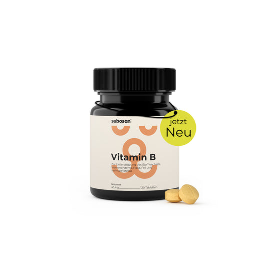 Vitamin B Komplex für Hunde