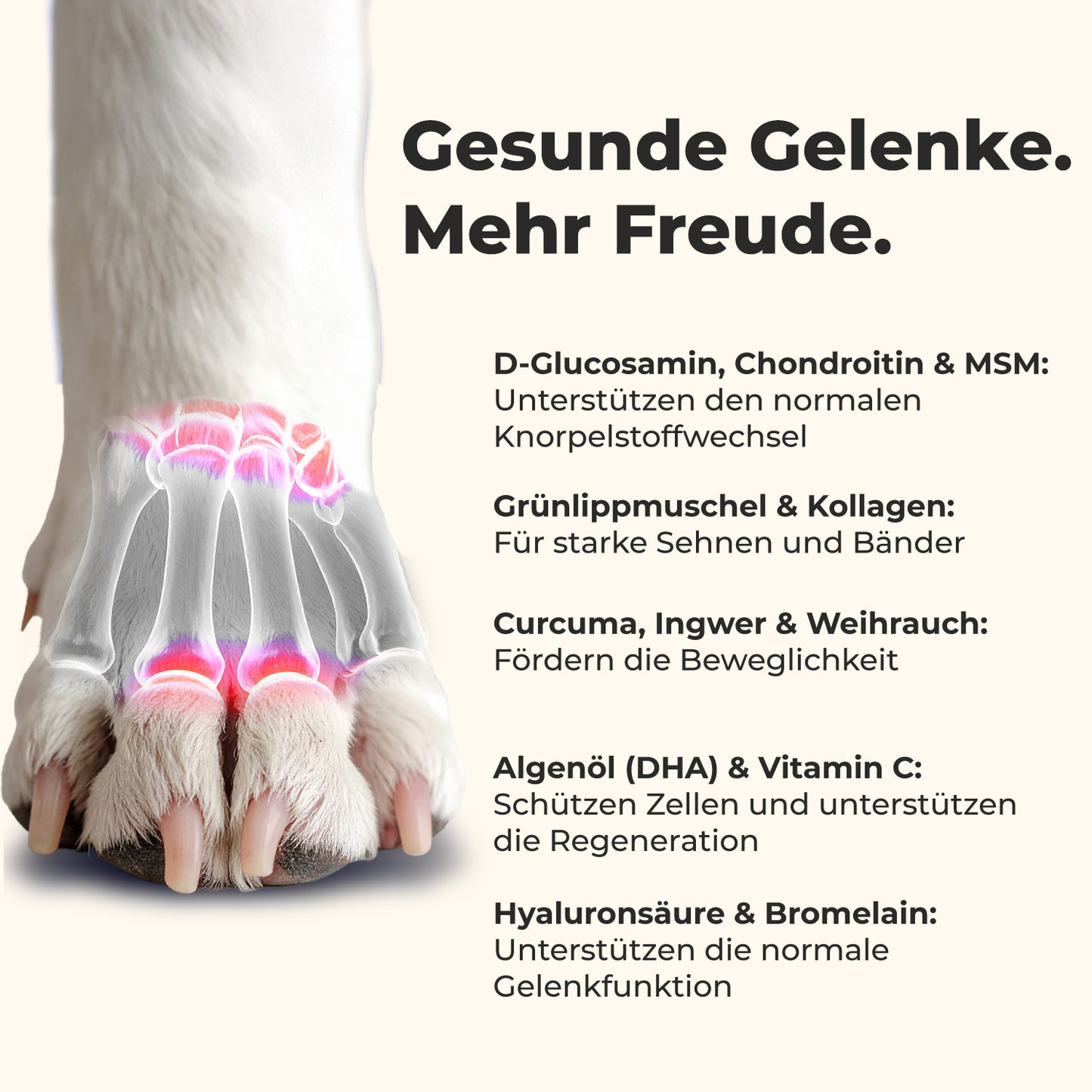 Gelenktabletten