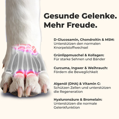 Gelenktabletten