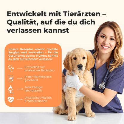 Vitamin B Komplex für Hunde