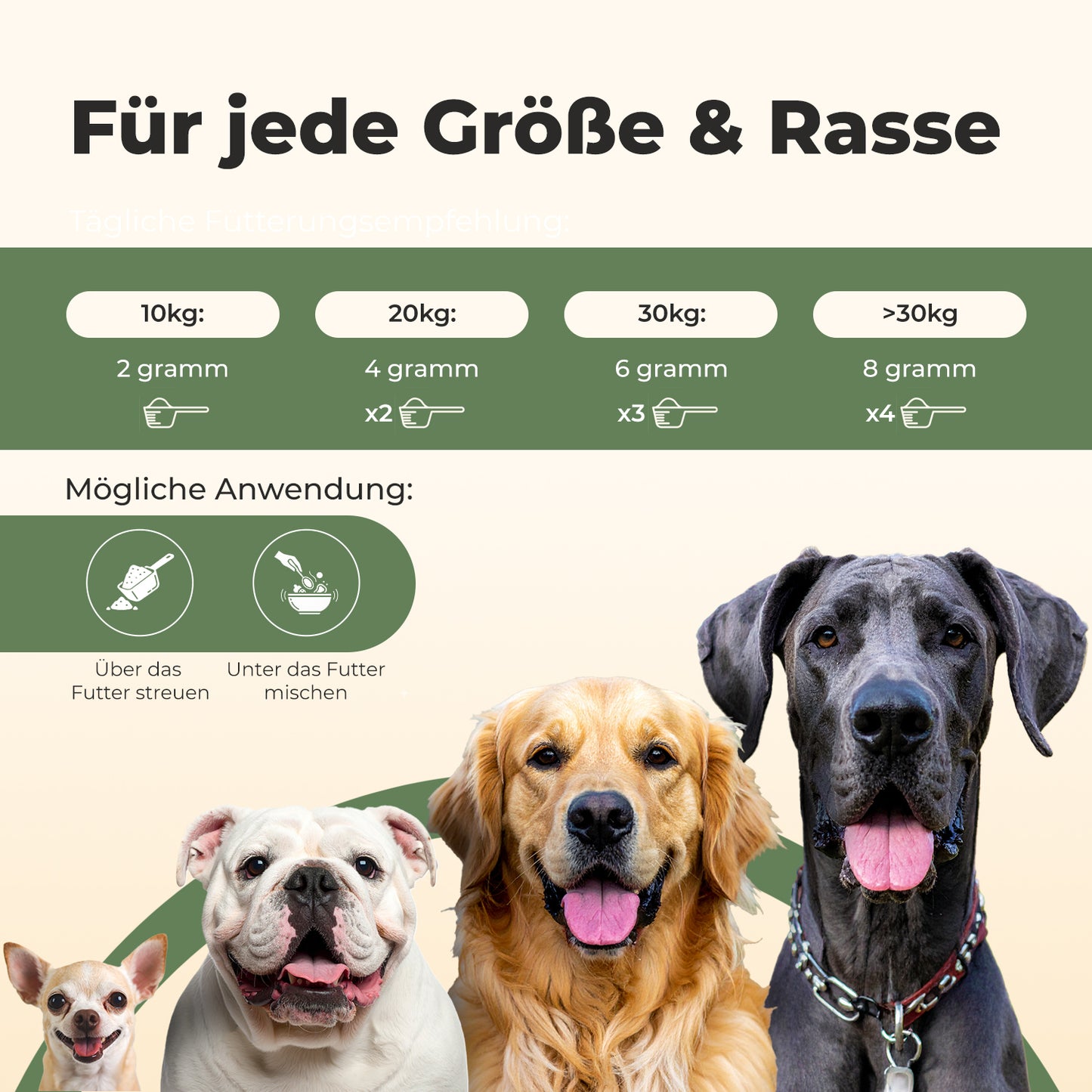 Darmflora+ Probiotika für Hunde