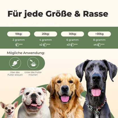 Darmflora+ Probiotika für Hunde