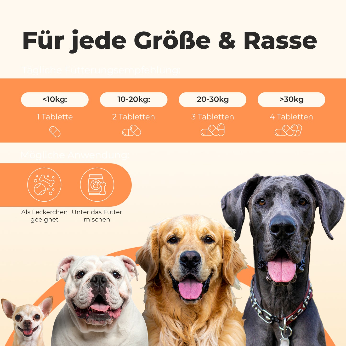 Vitamin B Komplex für Hunde