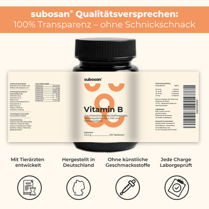 Vitamin B Komplex für Hunde
